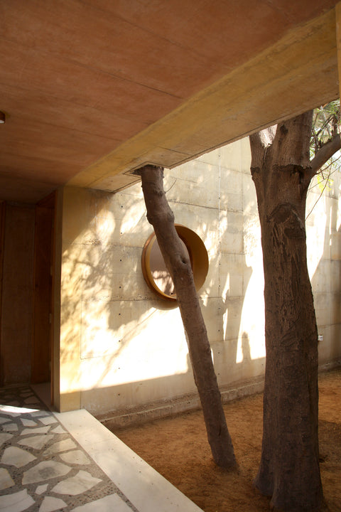 Tree room adjacent to our studio space